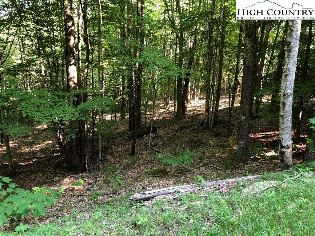 Image number 1 for the current listing