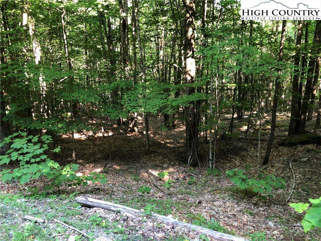 Image number 3 for the current listing