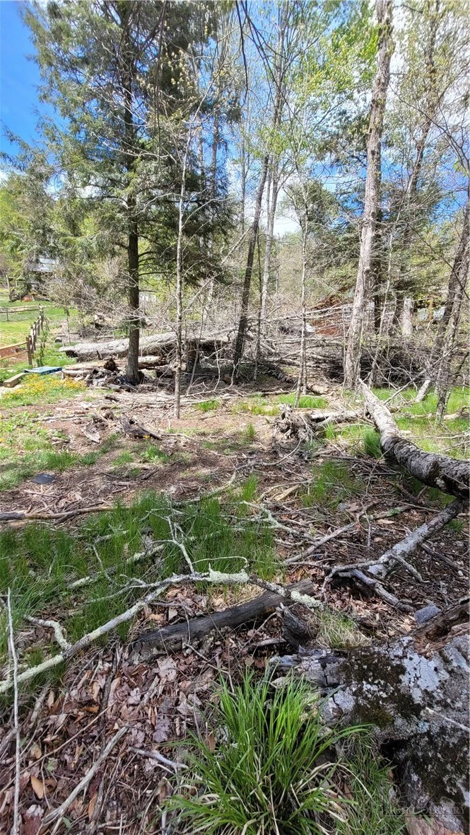 Image number 3 for the current listing