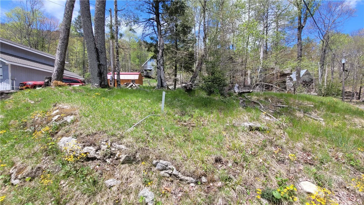 Image number 4 for the current listing