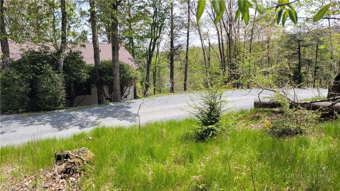 Image number 2 for the current listing
