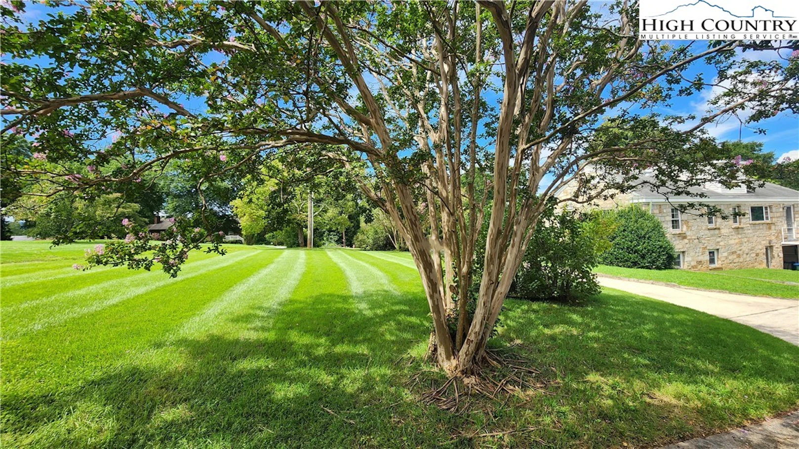 Image number 1 for the current listing