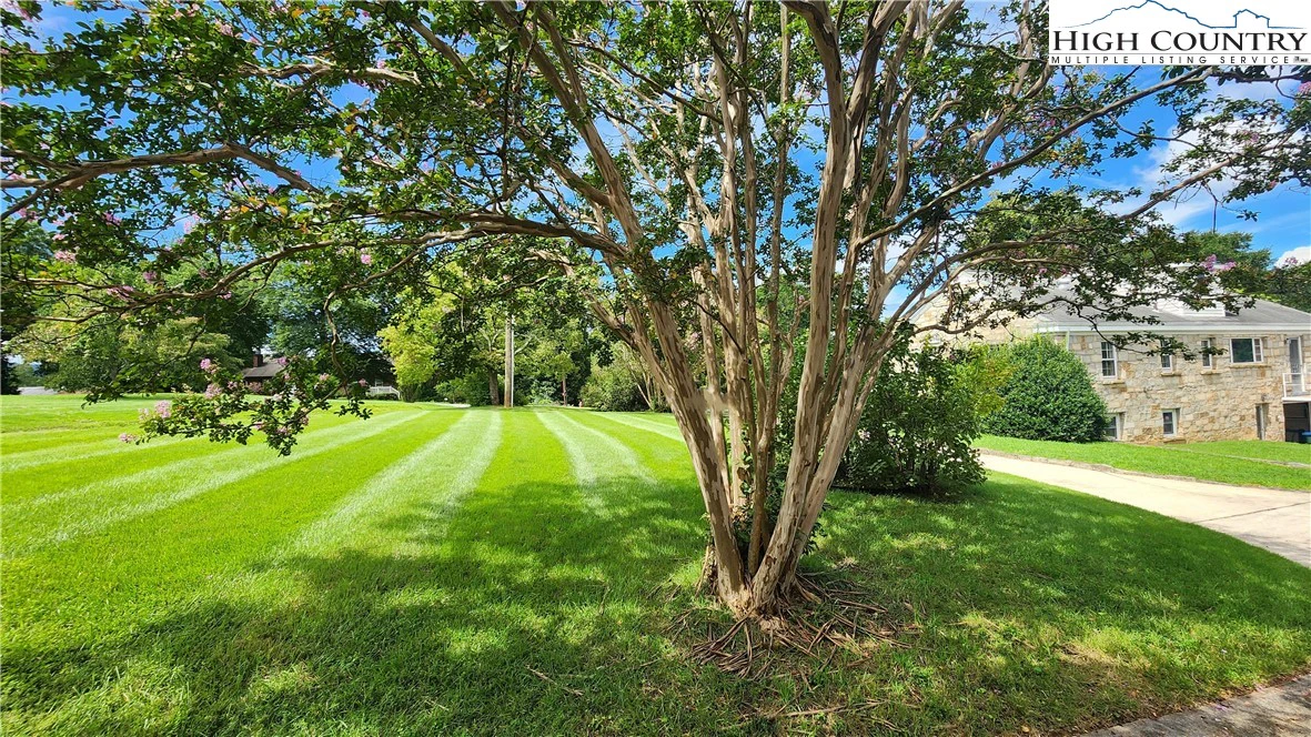 Image number 1 for the current listing