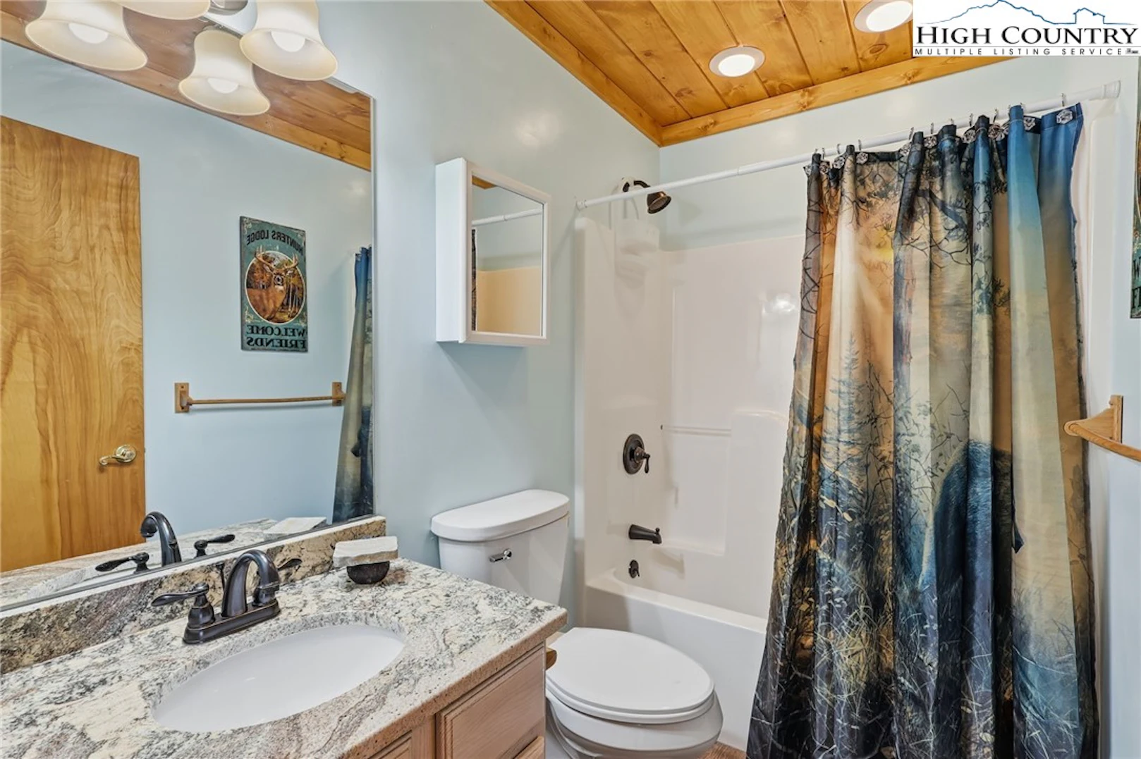 Image number 11 for the current listing