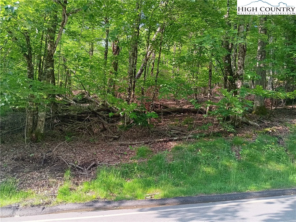 Image number 1 for the current listing