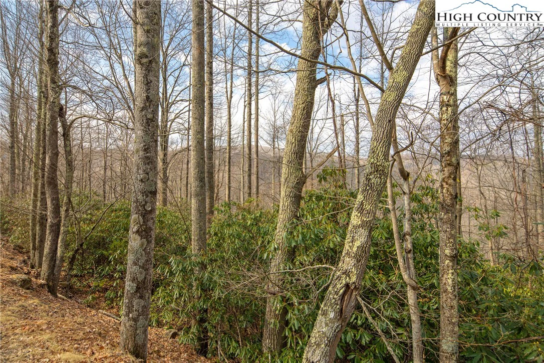 Image number 21 for the current listing