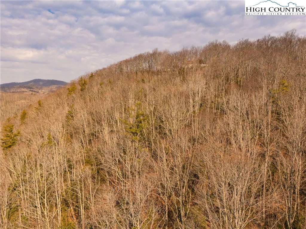 Image number 11 for the current listing