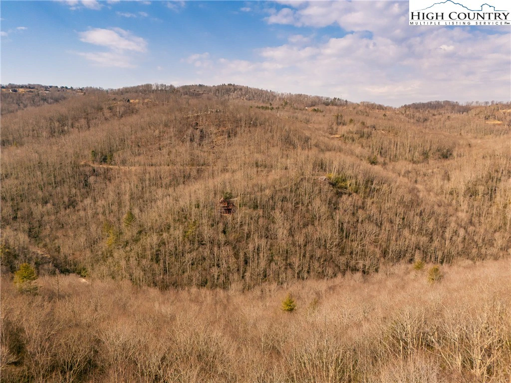 Image number 3 for the current listing