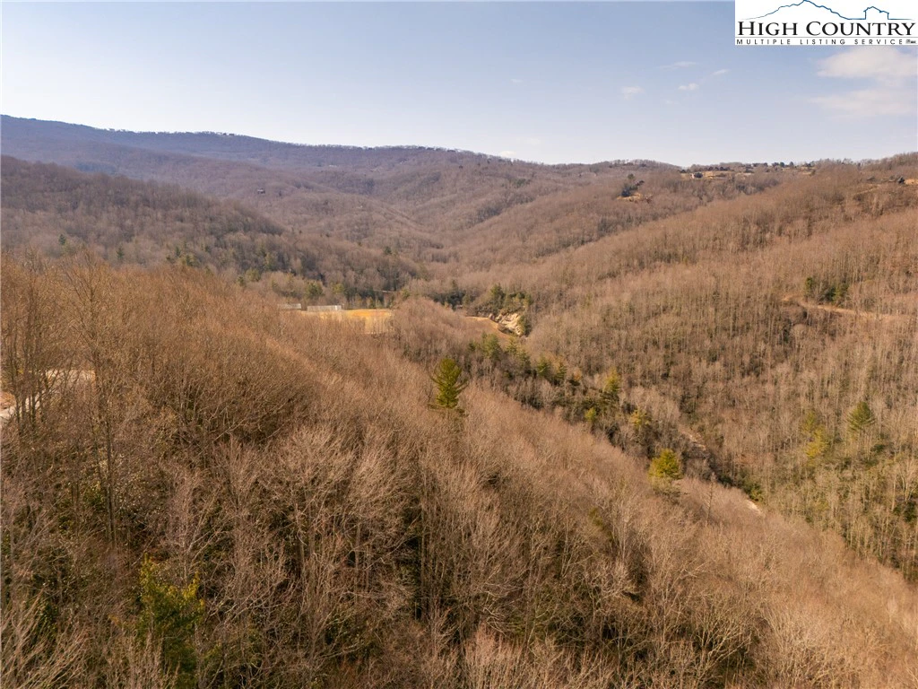 Image number 4 for the current listing