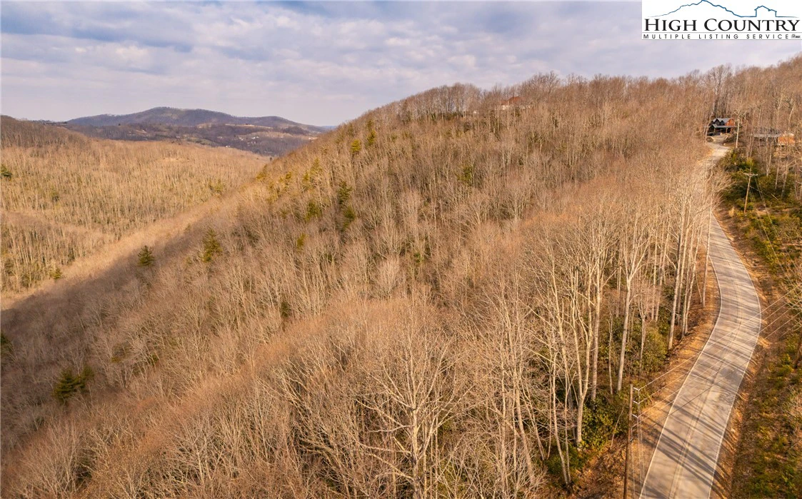 Image number 2 for the current listing