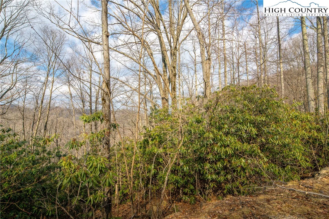 Image number 18 for the current listing