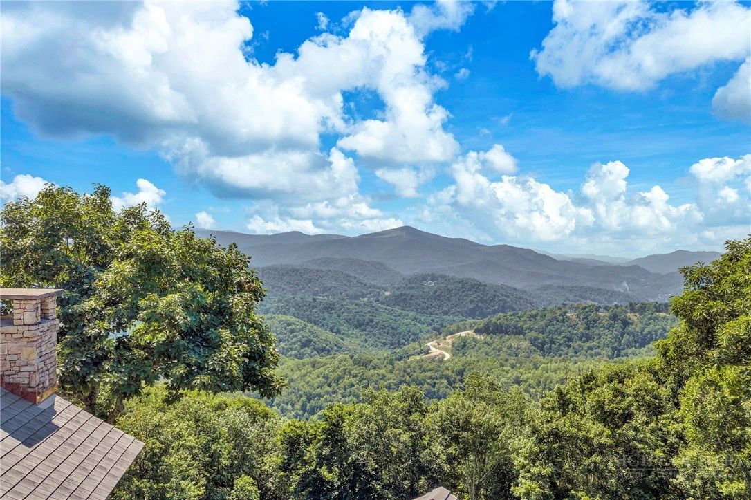 Image number 8 for the current listing
