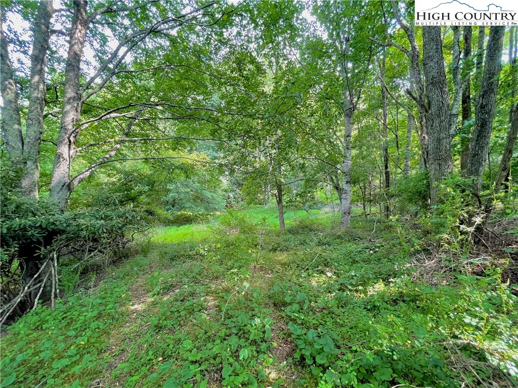 Image number 3 for the current listing