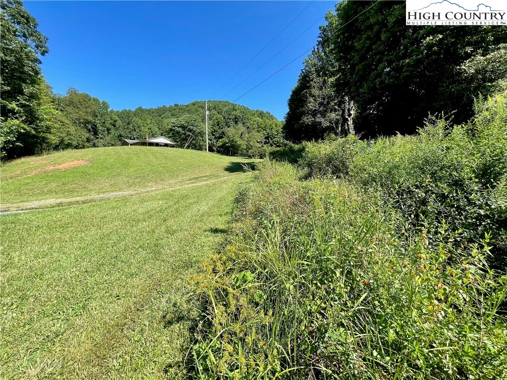 Image number 2 for the current listing