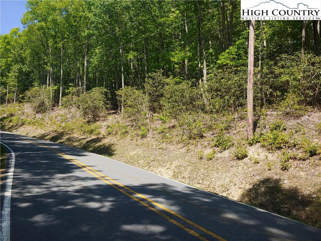 Image number 1 for the current listing
