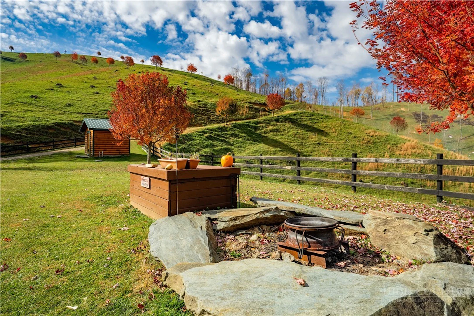 Image number 21 for the current listing