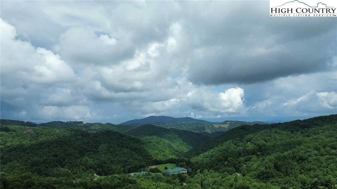 Image number 1 for the current listing