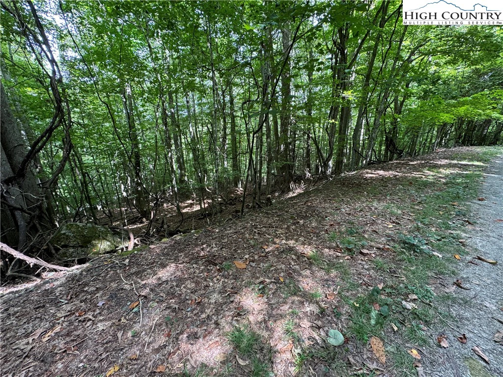 Image number 3 for the current listing