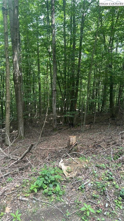 Image number 6 for the current listing