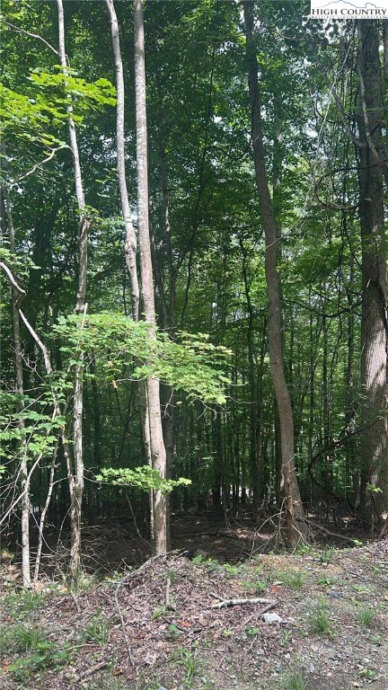 Image number 11 for the current listing