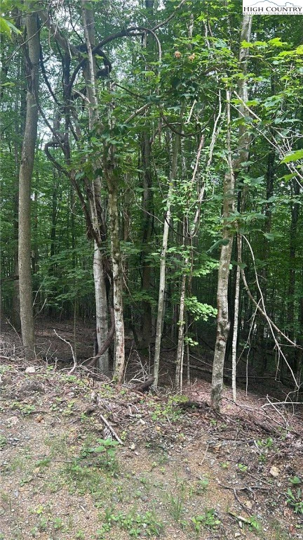 Image number 14 for the current listing