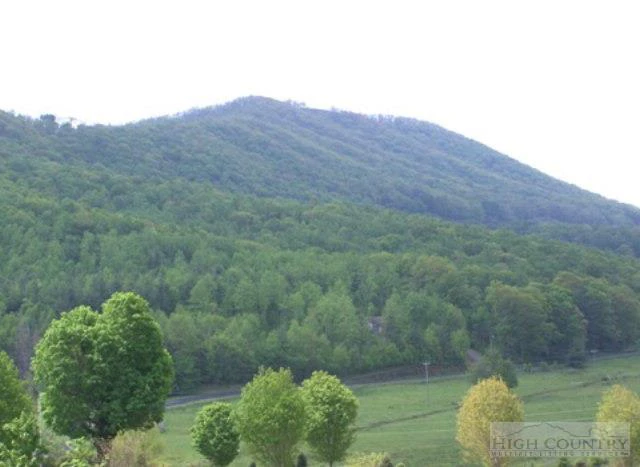 Image number 11 for the current listing