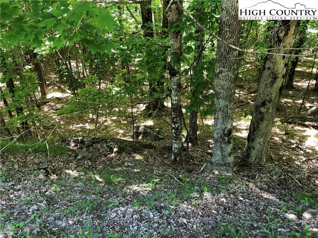 Image number 1 for the current listing