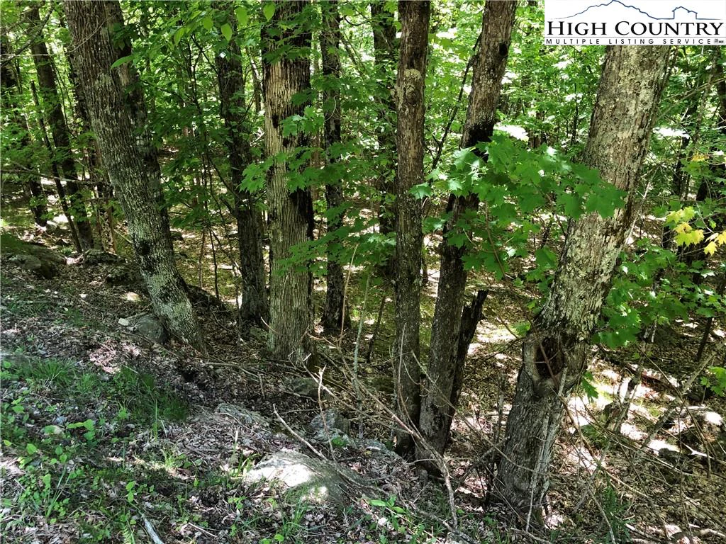 Image number 3 for the current listing