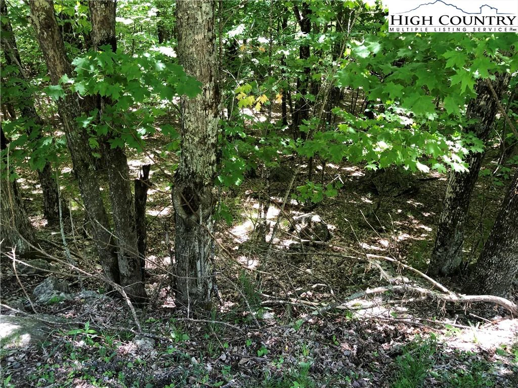 Image number 4 for the current listing