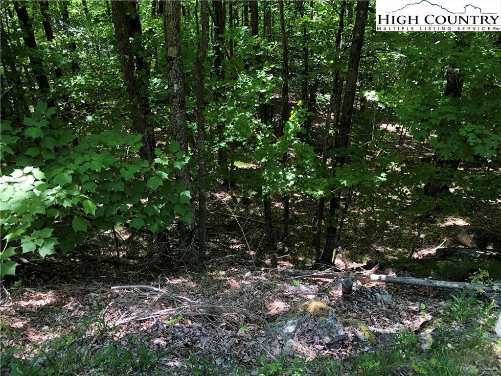 Image number 5 for the current listing