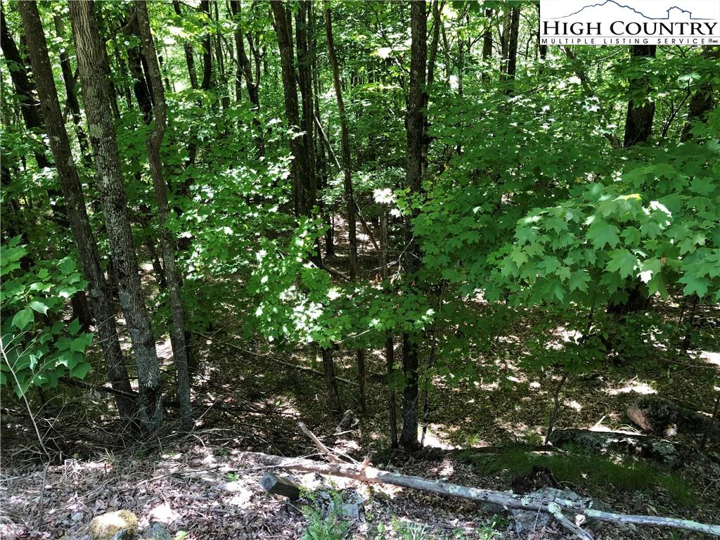 Image number 6 for the current listing