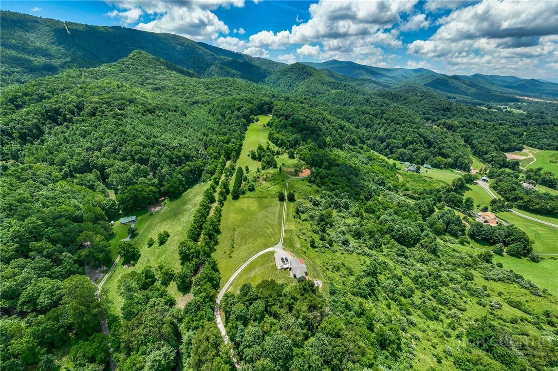 Image number 7 for the current listing