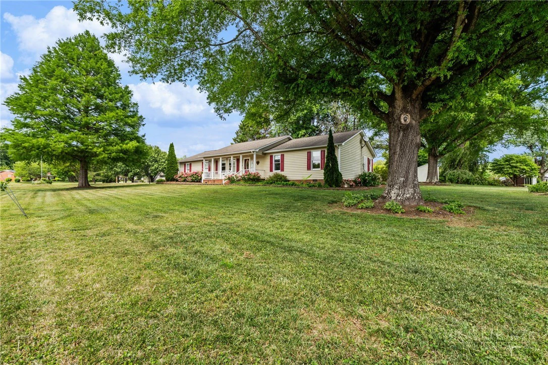 Image number 10 for the current listing
