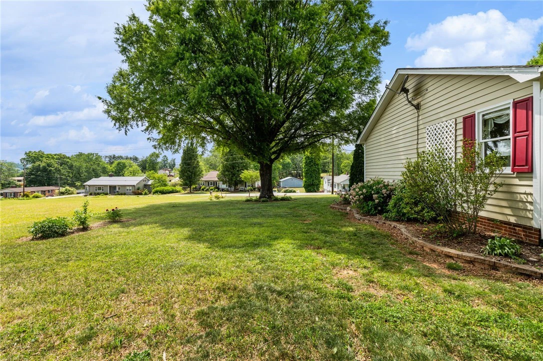 Image number 11 for the current listing