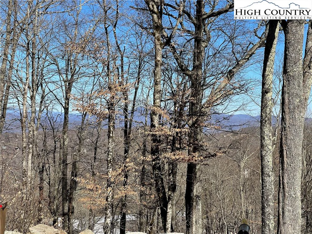 Image number 1 for the current listing