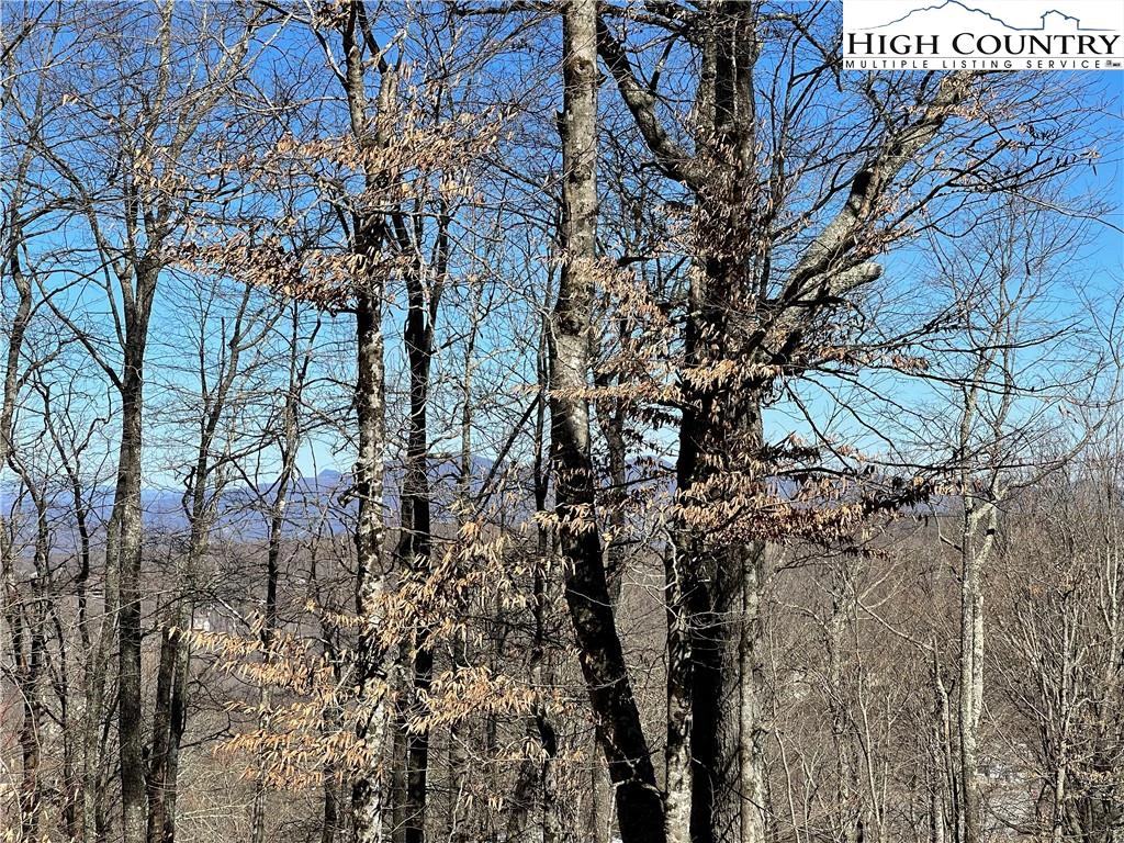 Image number 3 for the current listing