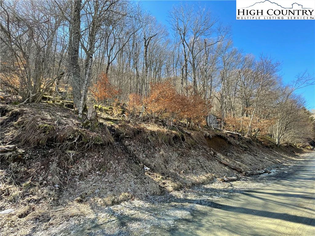 Image number 4 for the current listing