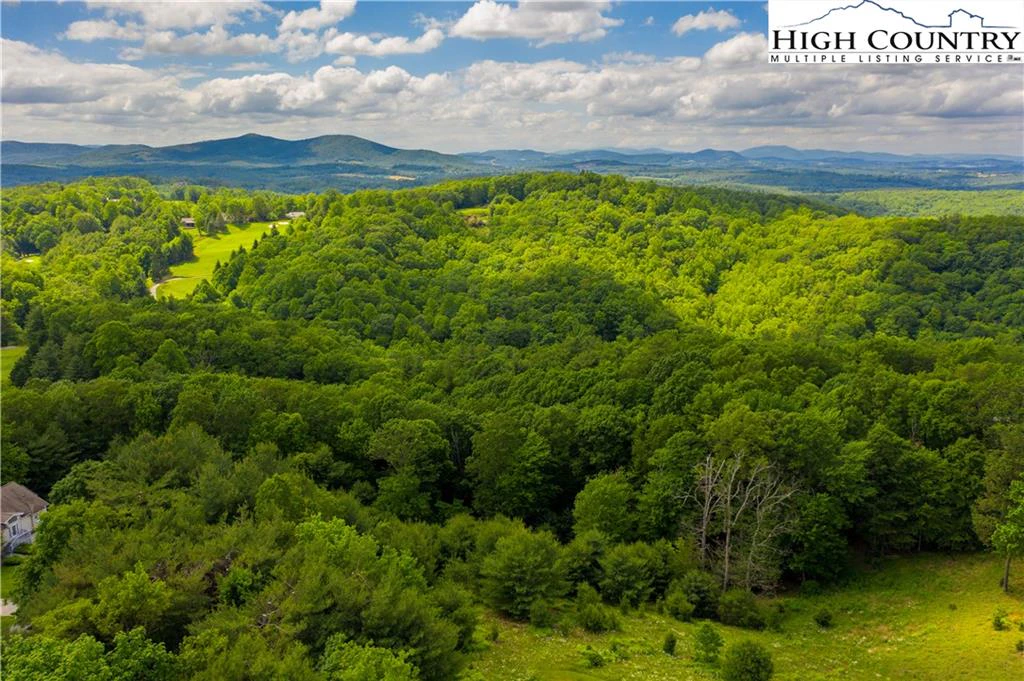Image number 3 for the current listing