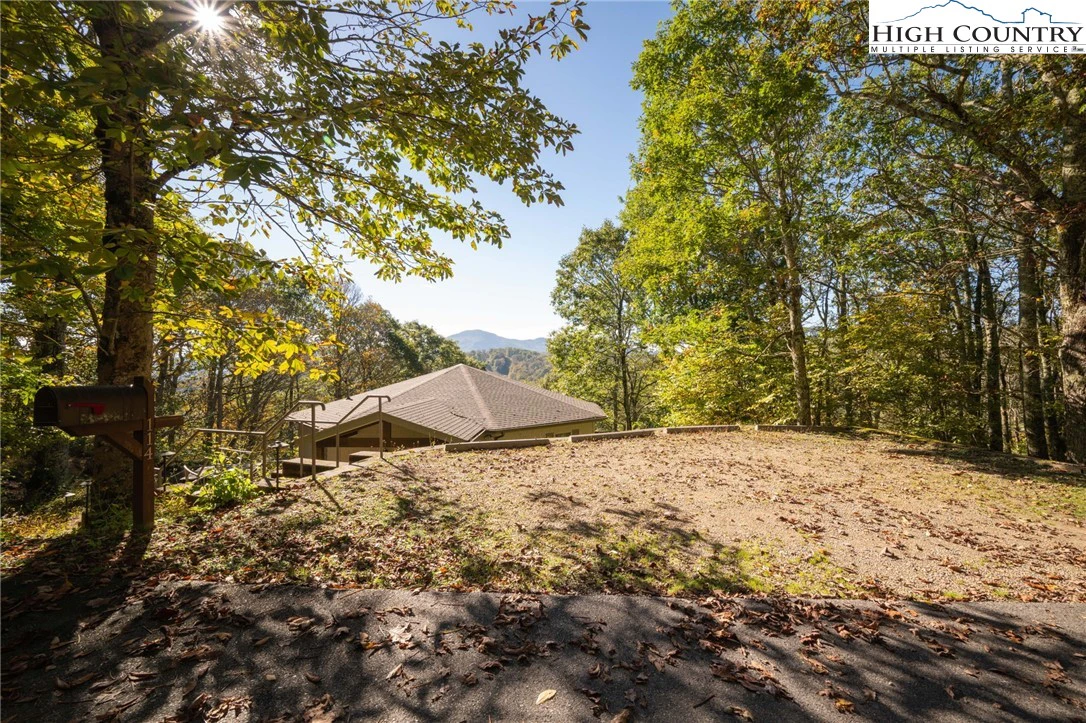 Image number 4 for the current listing