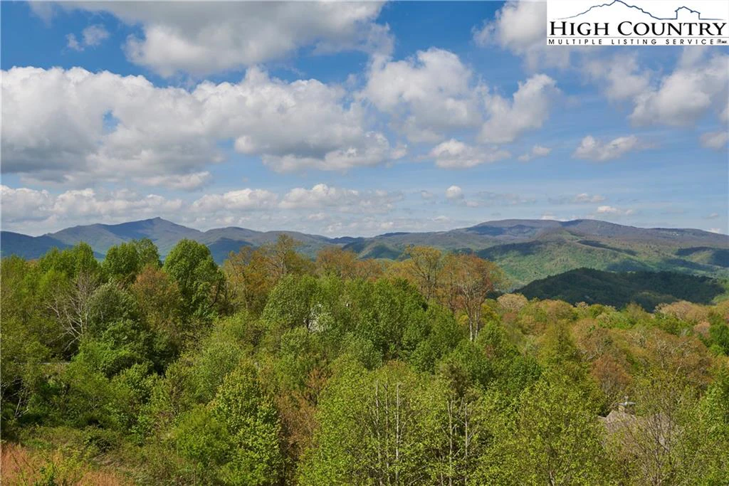Image number 18 for the current listing