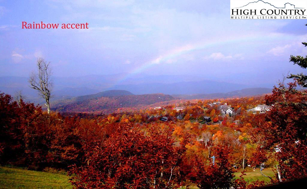 Image number 7 for the current listing