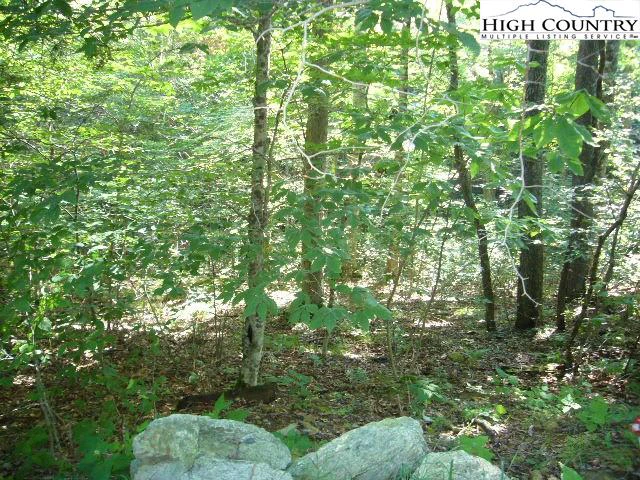 Image number 3 for the current listing