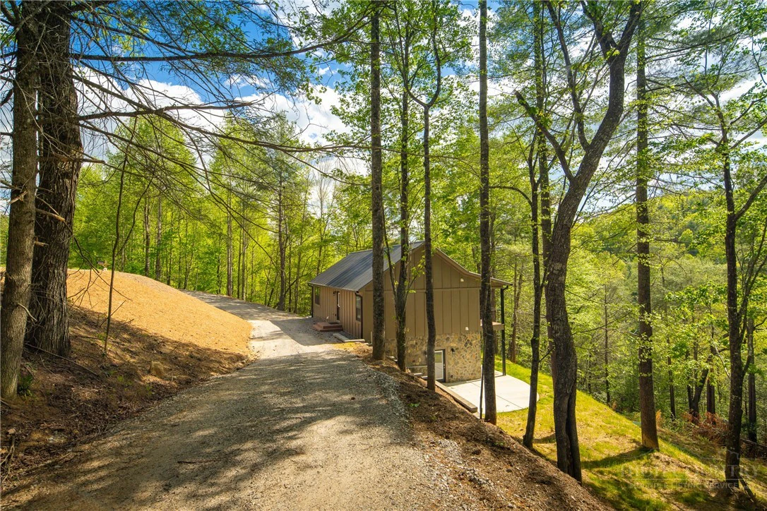 Image number 1 for the current listing