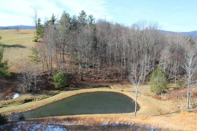 Image number 21 for the current listing