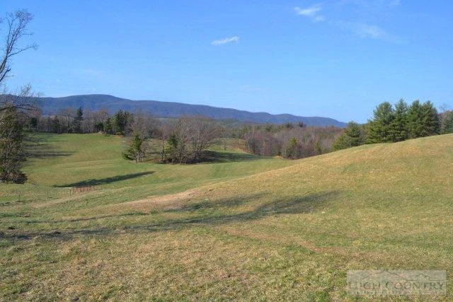 Image number 3 for the current listing