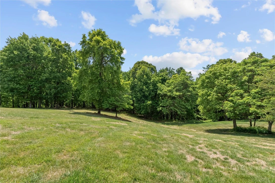 Image number 20 for the current listing