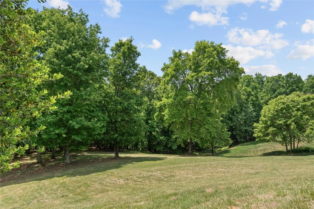Image number 21 for the current listing