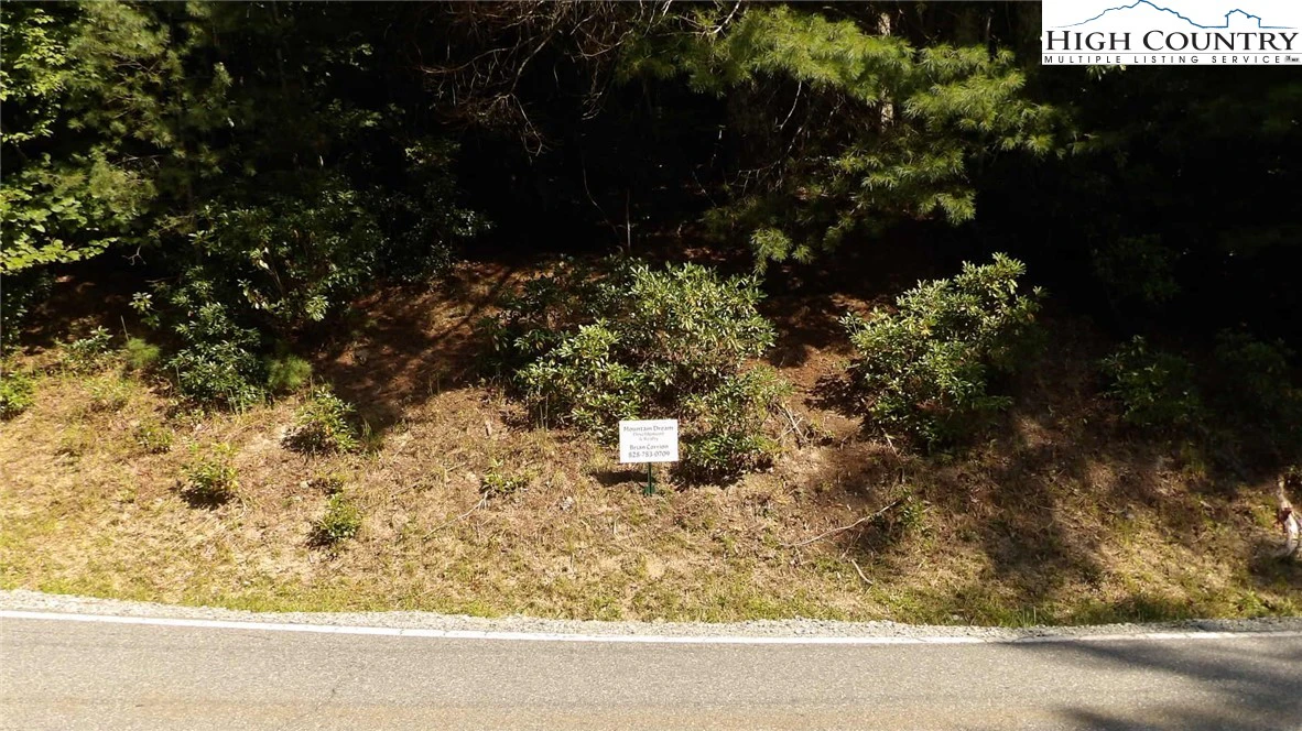 Image number 1 for the current listing