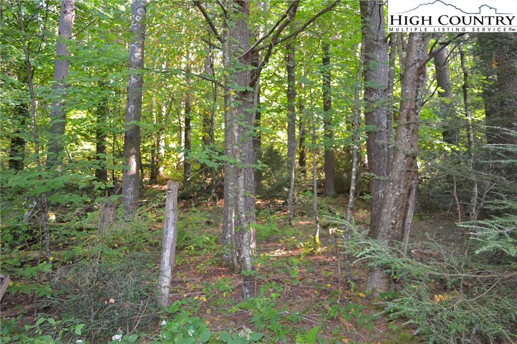 Image number 18 for the current listing