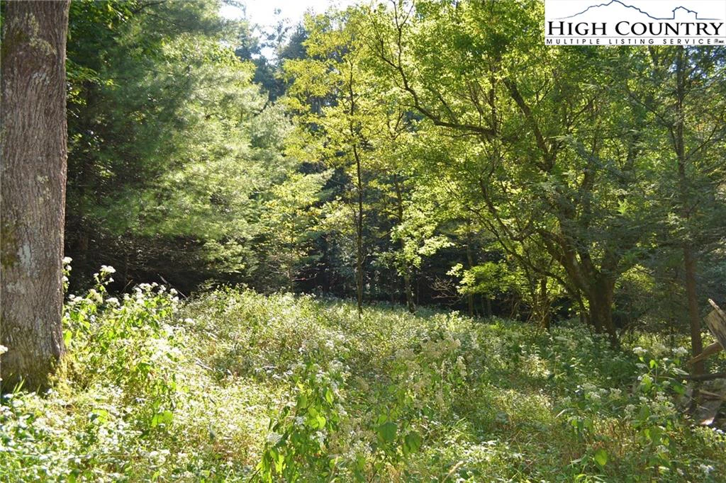 Image number 3 for the current listing